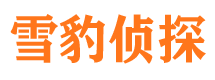 潼南市调查公司